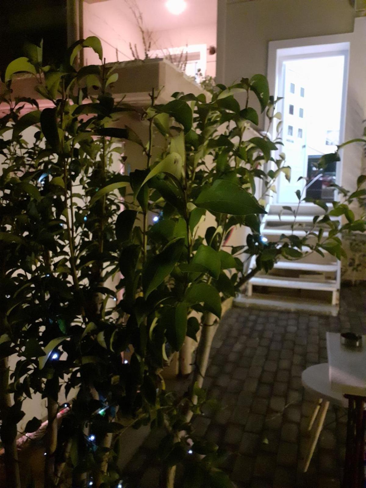 Exostis Villa Nafplio Luaran gambar